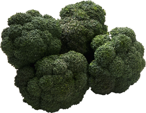 Broccoli PNG image-2831